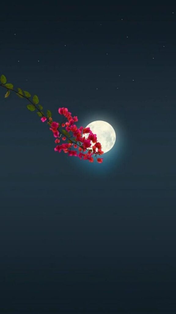 Moon behind vibrant pink flowers against a starry night sky