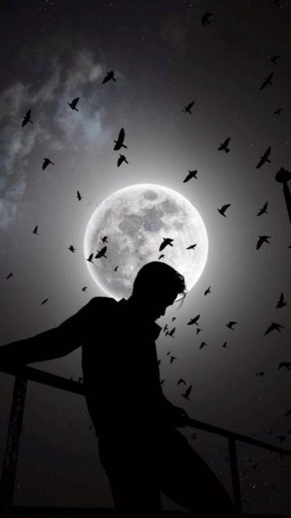 Silhouette of a person on a railing under a full moon with birds flying around