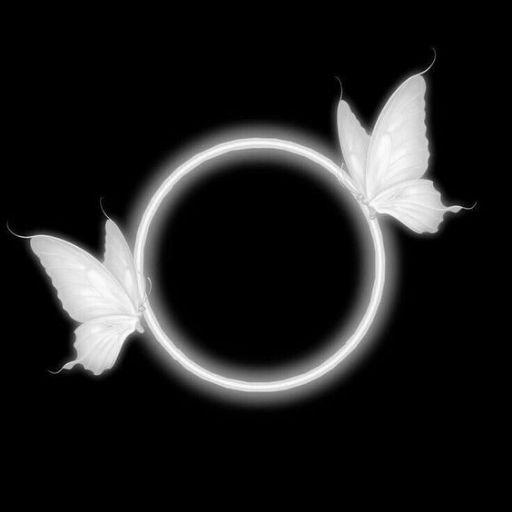 Two white butterflies with a glowing ring on a black background