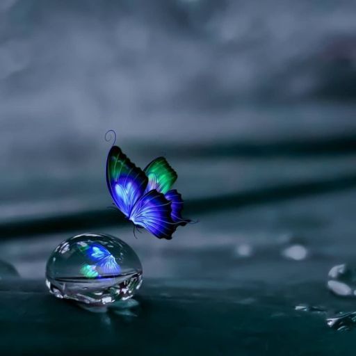 a blue and green butterfly flying over a drop of water