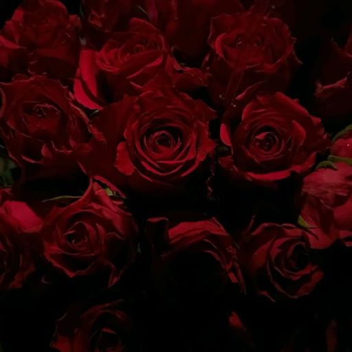 a bunch of red roses are in a bouquet