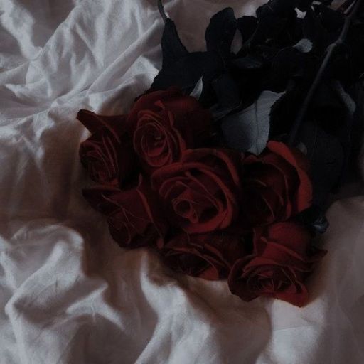 a bunch of red roses laying on a white sheet