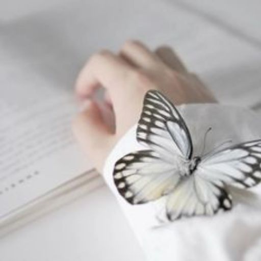 a butterfly that is sitting on top of a book