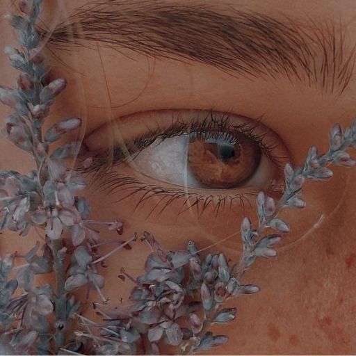 a close up of a person's eye with a plant in front of them