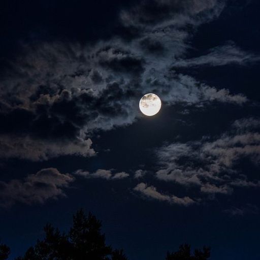 a full moon is seen in the night sky