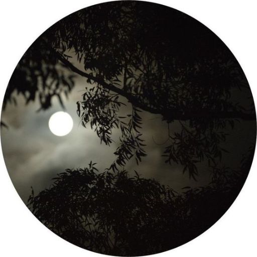 a full moon seen through the branches of a tree (2)