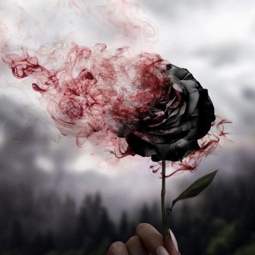 a hand holding a black rose with red smoke coming out of it