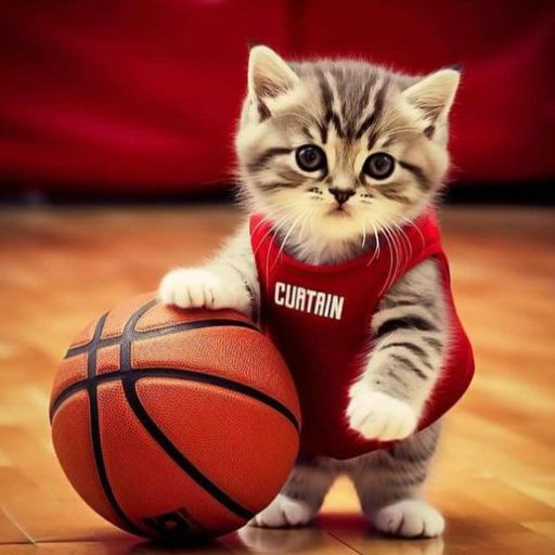 a kitten is holding a basketball on a court