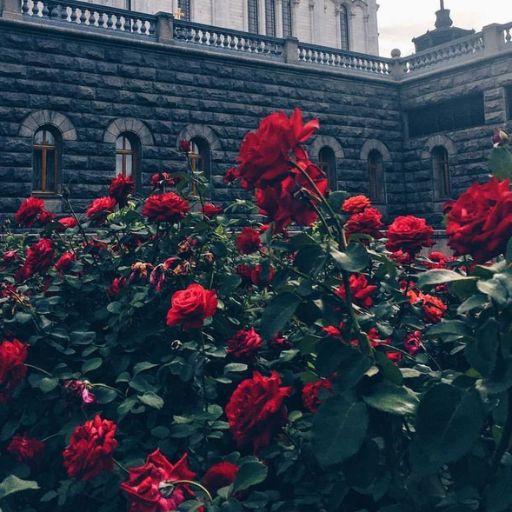 a large building with many red flowers in front of it