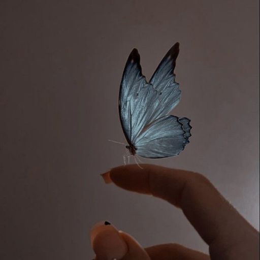 a person holding a blue butterfly in their hand