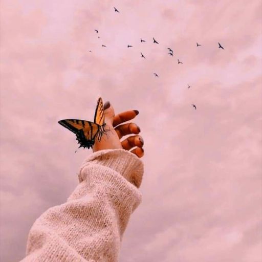 a person holding a butterfly in their hand