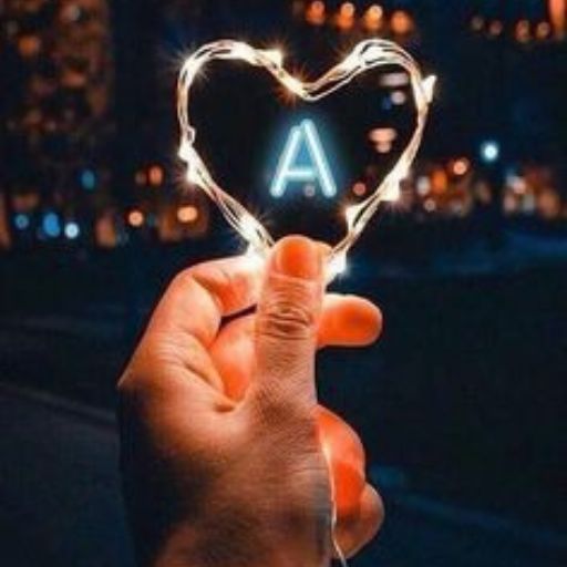 a person holding a heart shaped object in their hand