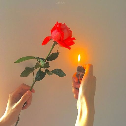 a person holding a rose with a lighter in their hand