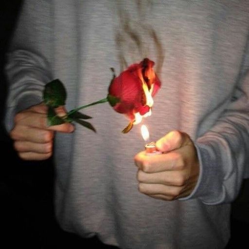 a person holding a rose with a lit candle in their hand