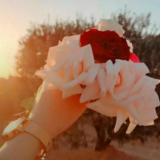 a person's hand holding a bouquet of flowers