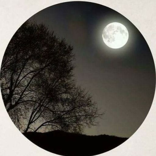 a picture of a full moon in the night sky