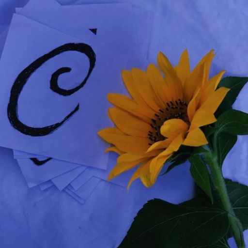 a sunflower sitting on top of a blue sheet of paper