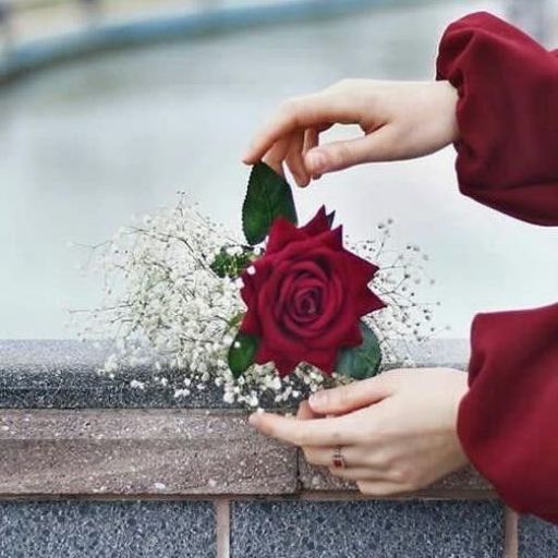 a woman holding a red rose and baby's breath