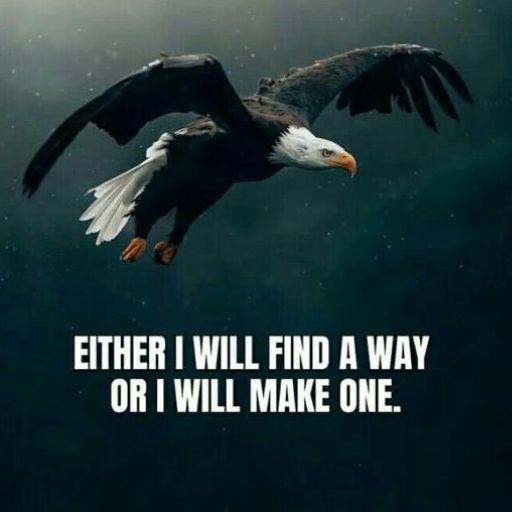 A bald eagle in flight with the motivational quote _Either I will find a way or I will make one