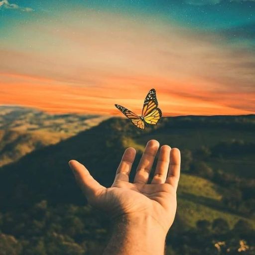 A butterfly perches on an outstretched hand against a sunset sky and rolling hills