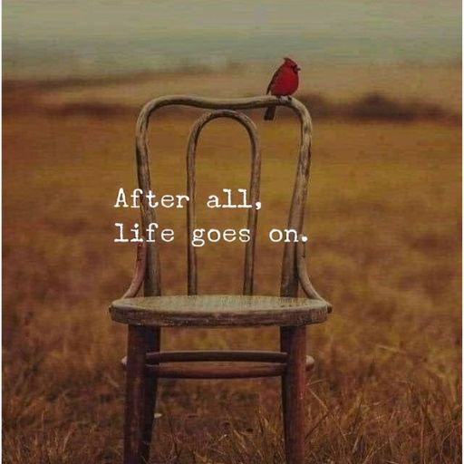 A red bird perched atop a wooden chair in a field with the text _After all, life goes on