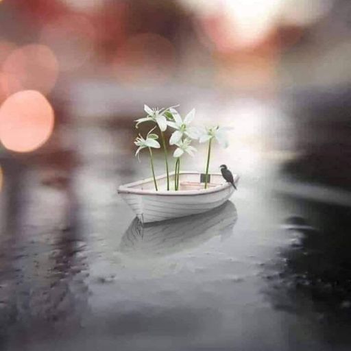 A small boat carrying white flowers and a bird floating on calm water, with a bokeh light background