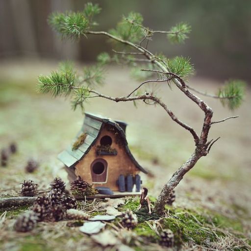 A whimsical miniature house placed under a pine tree branch with pinecones scattered around