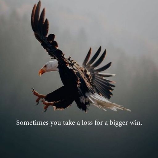 An eagle in flight with the caption _Sometimes you take a loss for a bigger win