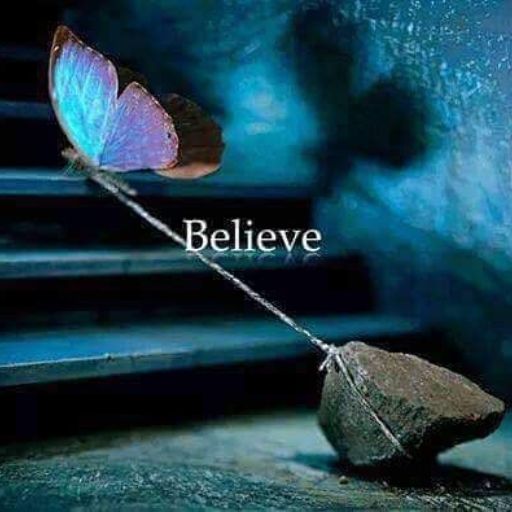 Butterfly with wings spread tied to a rock on stairs, word _Believe_ overlaid