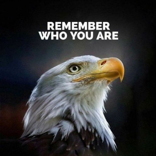 Close-up of a bald eagle's head with the text _REMEMBER WHO YOU ARE_ above it