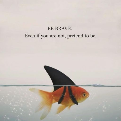 Goldfish with a shark fin attached swimming near the water's surface; motivational text overlay