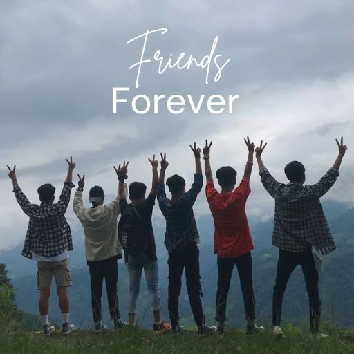 Group of friends raising hands against a landscape, with text _Friends Forever