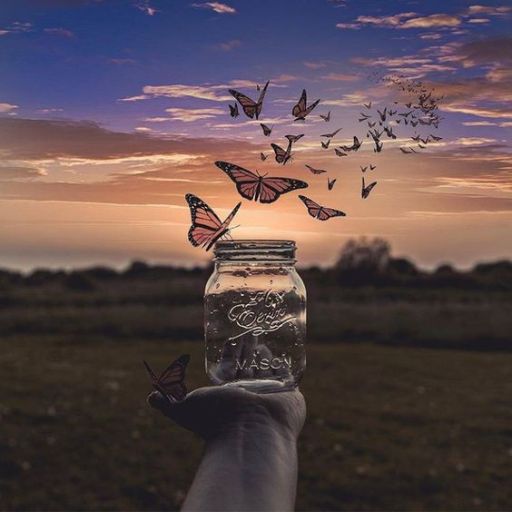 Hand holding a jar with butterflies flying out against a sunset sky