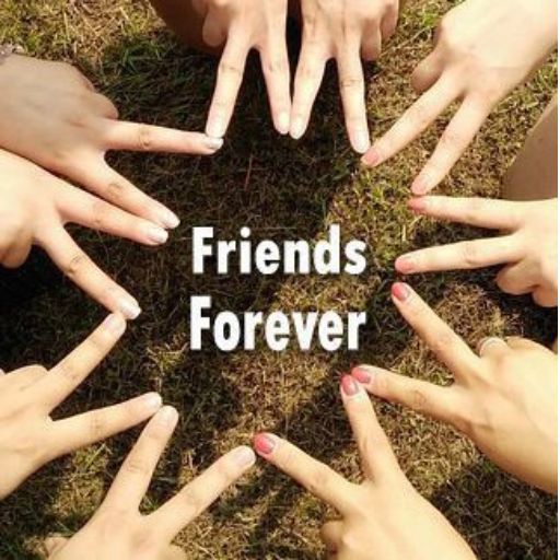 Several hands form a circle on grass with _Friends Forever_ text in the center