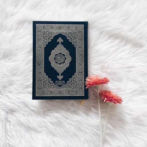 A decorated book lies on a fluffy white surface next to two pink flowers