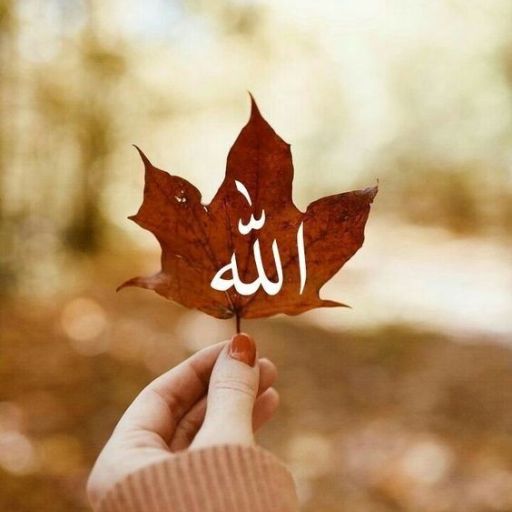 A hand holding a red autumn leaf with the Arabic word _Allah_ (God) naturally inscribed on it