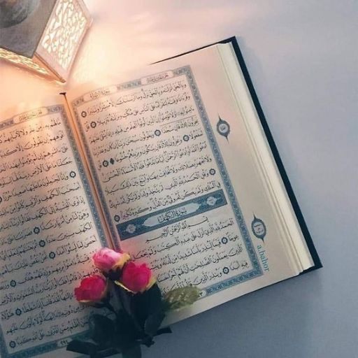 An open Quran with Arabic text, illuminated by a lantern, next to small pink flowers