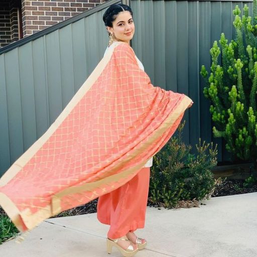 Person twirling in a pink traditional outfit with a dupatta flowing, standing by a fence