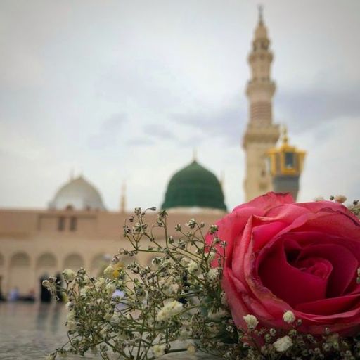 beautiful madina images