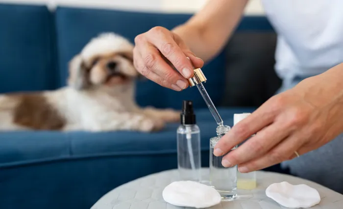 How To Use Herbal Oil For Pets Safely And Effectively