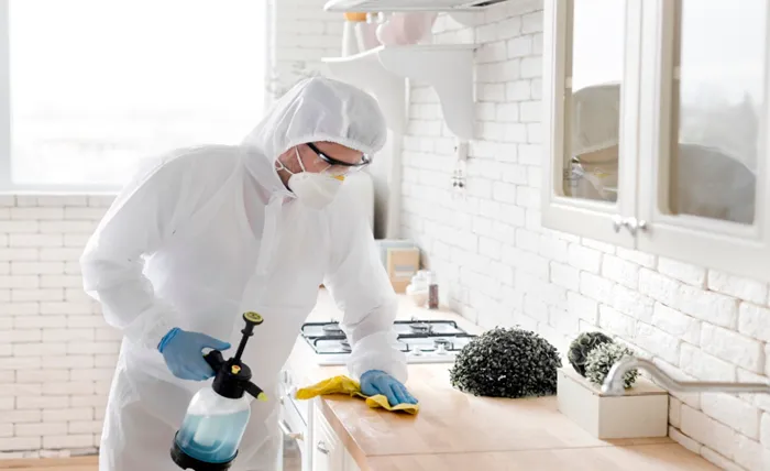 How to Reduce Pest Risks in Kitchens and Pantry Areas